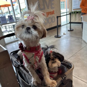 Urbane Cafe - Chloe wants more! - Salad Near Me - Menifee, California Urbane Cafe - Chloe wants more! - Salad Near Me - Menifee, California