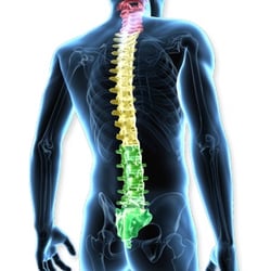 Donald Corenman, MD - Donald Corenman, MD, DC | Spine Specialist