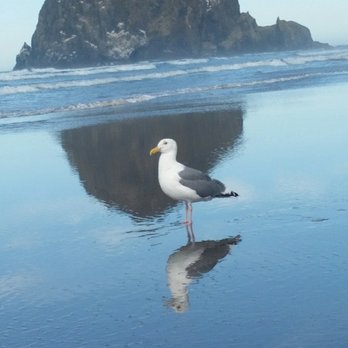 Haystack Rock - Haystack Rock - Landmarks & Historical Buildings Near Me - Cannon Beach, Oregon Haystack Rock - Haystack Rock - Landmarks & Historical Buildings Near Me - Cannon Beach, Oregon