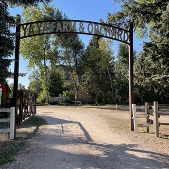 Ya Ya Farm and Orchard - Farmers Market Near Me - Longmont, Colorado Ya Ya Farm and Orchard - Farmers Market Near Me - Longmont, Colorado