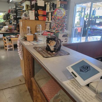 Griff's Feed & Seed - Front checkout with their kitty mascot - Home & Garden Near Me - Colusa, California Griff's Feed & Seed - Front checkout with their kitty mascot - Home & Garden Near Me - Colusa, California