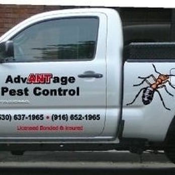 Advantage Pest Control - This is what the truck looks like that will pull up to your home or office!! - Pest Control Near Me - Roseville, California Advantage Pest Control - This is what the truck looks like that will pull up to your home or office!! - Pest Control Near Me - Roseville, California