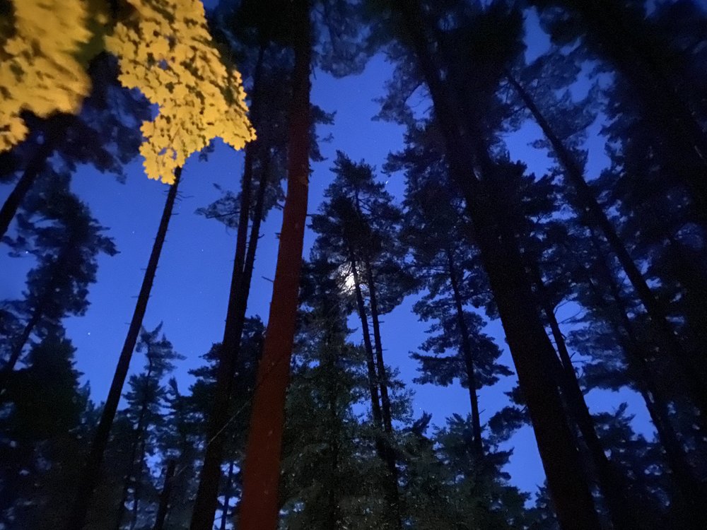 HEARTHSTONE POINT CAMPGROUND Updated August 2024 28 Photos & 35