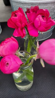 Memorial Villages Farmers Market by null
