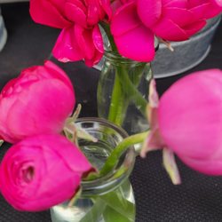 Memorial Villages Farmers Market