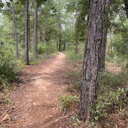 Munson Hills Mountain Bike Trail