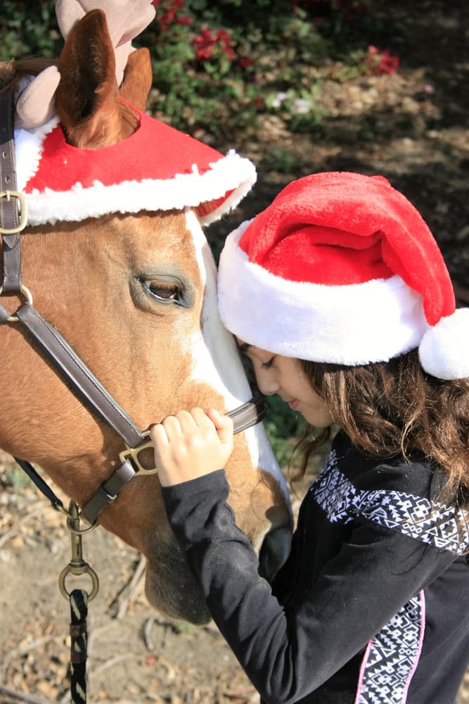 GLADSTONE EQUESTRIAN Updated August 2024 37 Photos & 19 Reviews