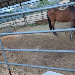 Pegasus Mucking - Before resetting