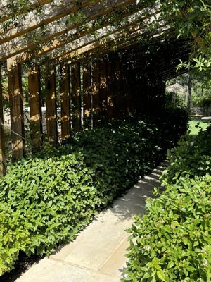 Luz Charming Houses by null