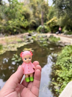 UCLA Mathias Botanical Garden by null