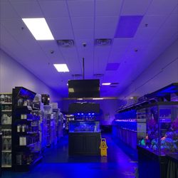 Coral Logic Aquariums