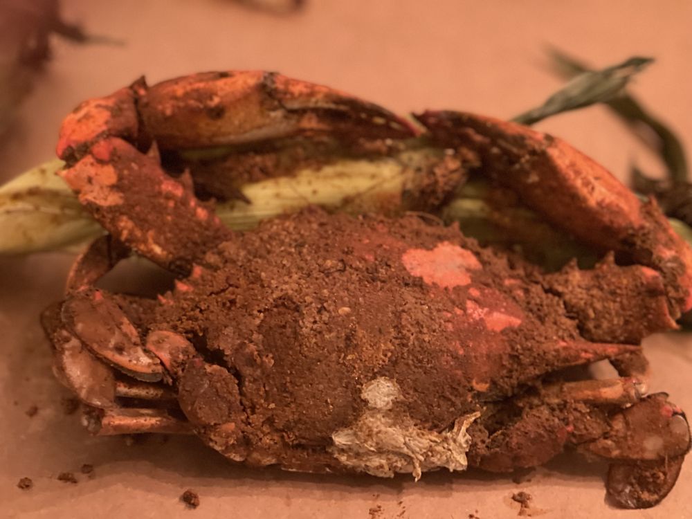 VINCES CRAB HOUSE & RESTAURANT Updated September 2024 57 Photos