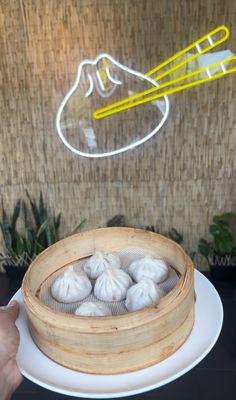 Dumpling Factory by null