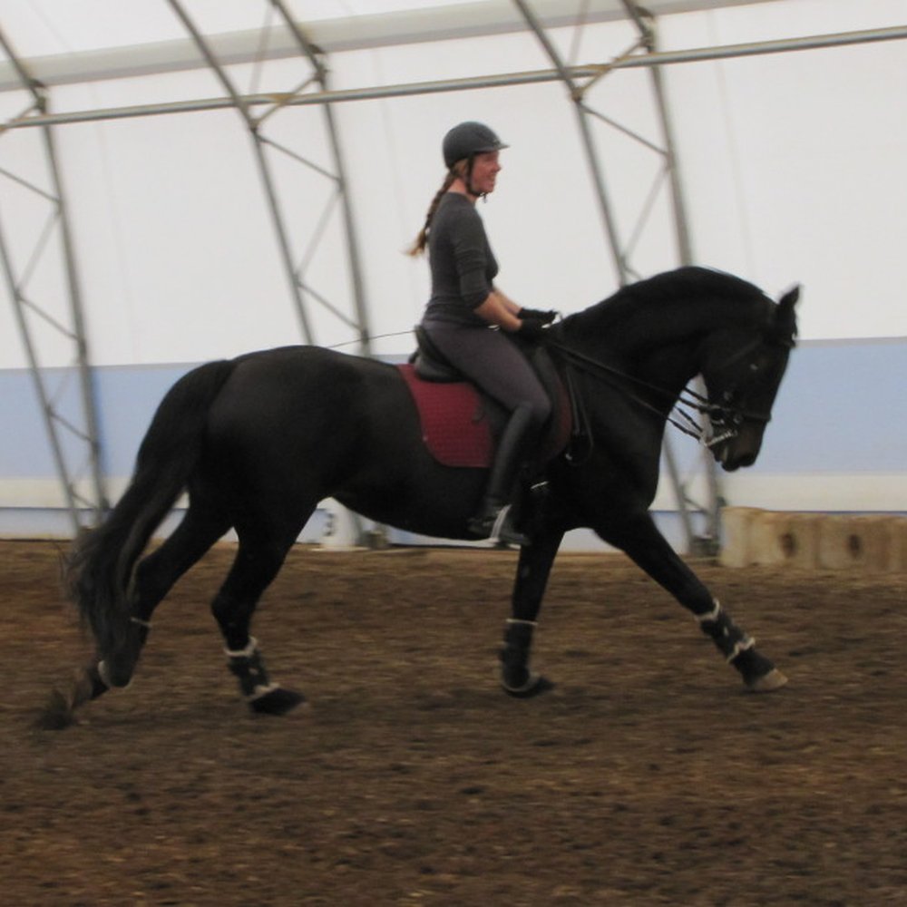 Summer Glen Stables - Terraka riding her Friesian mare Dasha - Horseback Riding Near Me - Beavercreek, Oregon Summer Glen Stables - Terraka riding her Friesian mare Dasha - Horseback Riding Near Me - Beavercreek, Oregon