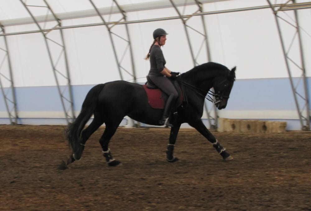 Summer Glen Stables - equestrian in Beavercreek, OR