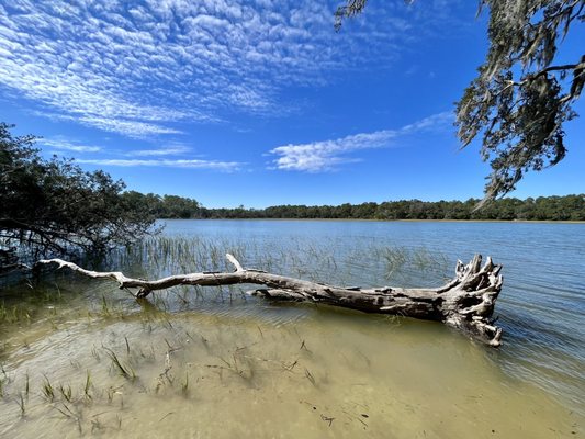Skidaway Island State Park by null