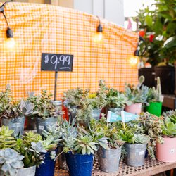 Landsburg Landscape Nursery