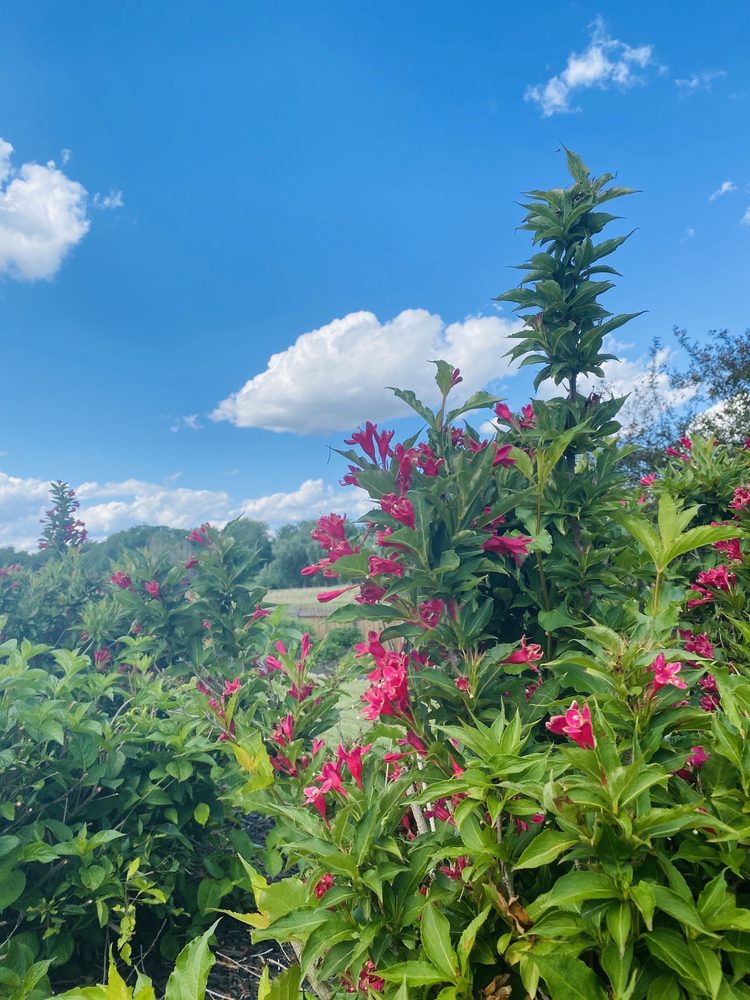 THE DEN AT FOX CREEK Updated June 2024 11 Reviews 3002 Fox Creek