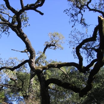 Chitactac-Adams County Park - Parks Near Me - Gilroy, California