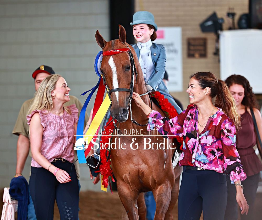 Meadow Dream Farm - equestrian in Nitro, WV