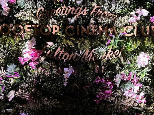 Rooftop Cinema Club Fulton Market by null