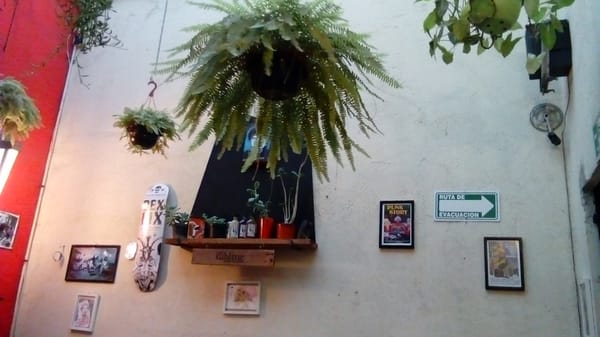 Caligari Café by null