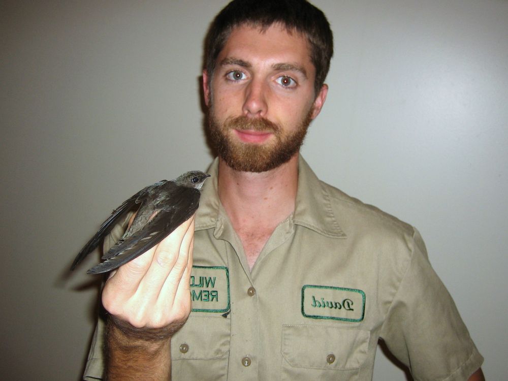 PRO BIRD CONTROL 28 Photos Tucson, Arizona Pest Control Phone
