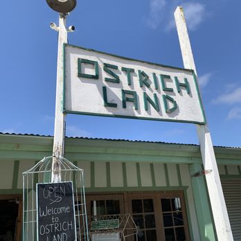 Ostrichland USA - Attraction Farms Near Me - Solvang, California Ostrichland USA - Attraction Farms Near Me - Solvang, California