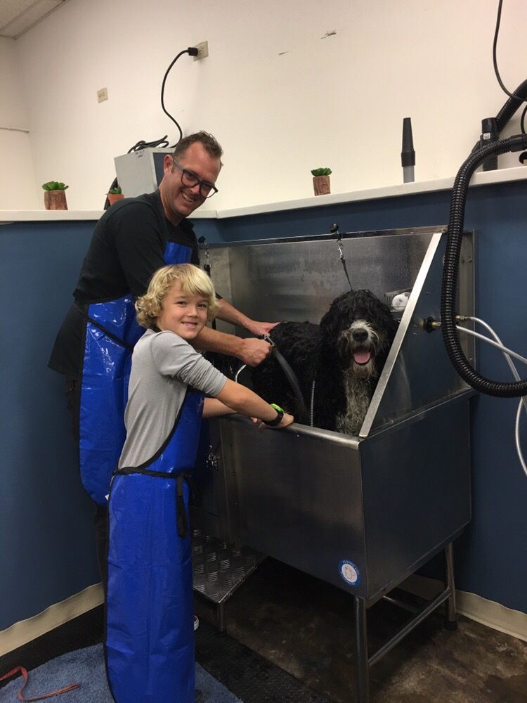 PETS & MORE Updated September 2024 43 Photos & 20 Reviews 1109