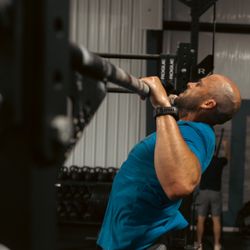 CrossFit Fig - Pull-ups