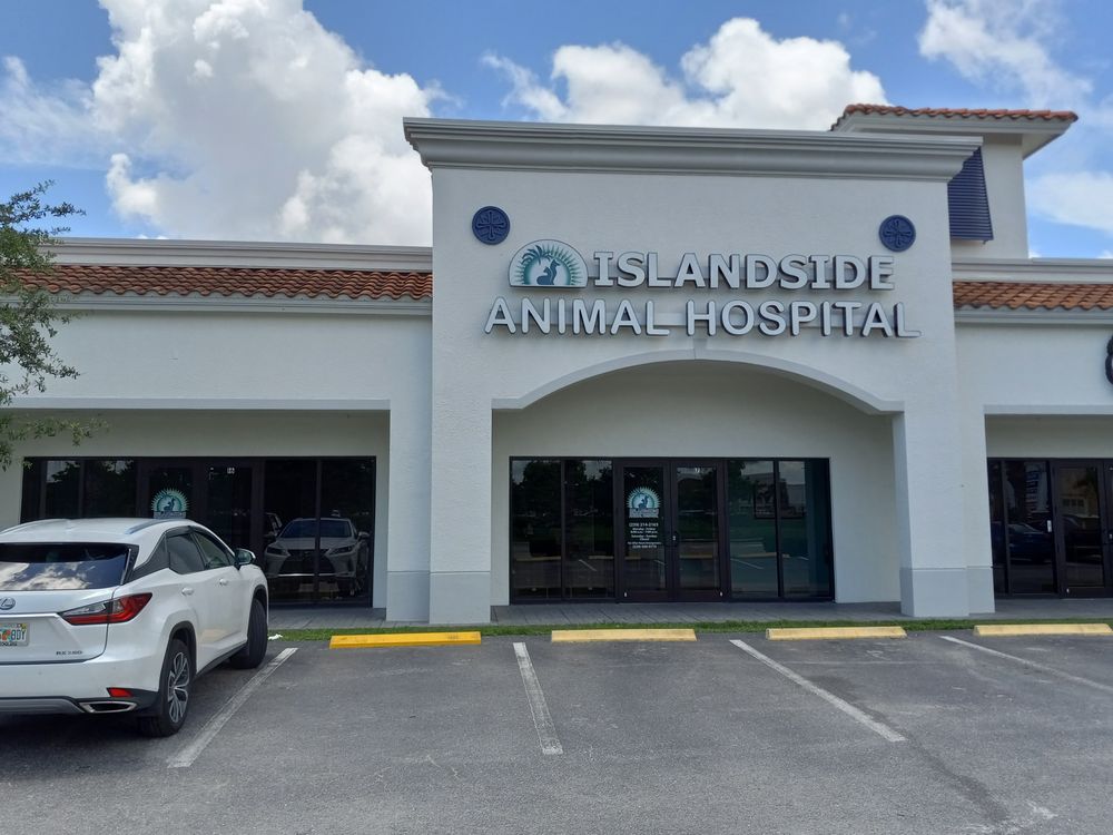 Islandside Veterinary Care and Surgical Center Image