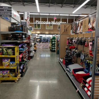 PetSmart Dog Training - Very clean store - Pet Training Near Me - New Caney, Texas PetSmart Dog Training - Very clean store - Pet Training Near Me - New Caney, Texas