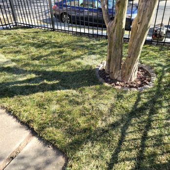Bluegrass Landscaping & Tree Service - Tree Services Near Me Bluegrass Landscaping & Tree Service - Tree Services Near Me
