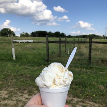 Homeland Creamery - Lemon Crunch-you won't regret your choice. - Ice Cream & Frozen Yogurt Near Me - Julian, North Carolina Homeland Creamery - Lemon Crunch-you won't regret your choice. - Ice Cream & Frozen Yogurt Near Me - Julian, North Carolina