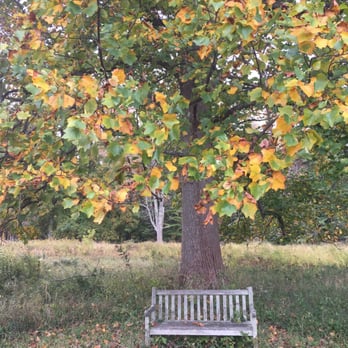 Tyler Arboretum - Summer Camps Near Me - Media, Pennsylvania