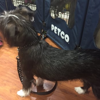 Petco - Pet Stores Near Me - Ramsey, New Jersey