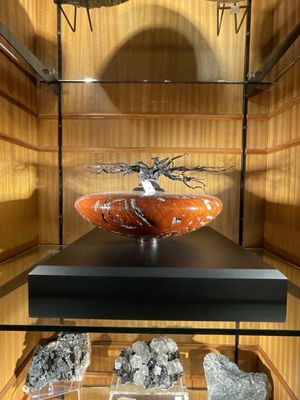 Houston Museum of Natural Science by null