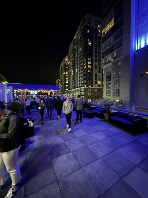 Sign of the Whale by null