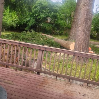 Hansen's General Contracting - Beginning of the job 1 of 5 trees down. - Tree Services Near Me