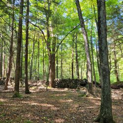 60 Westledge Trails - Old stone wall