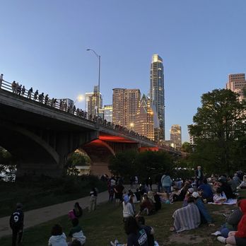 Bats Under the Congress Avenue Bridge - Landmarks & Historical Buildings Near Me - Austin, Texas