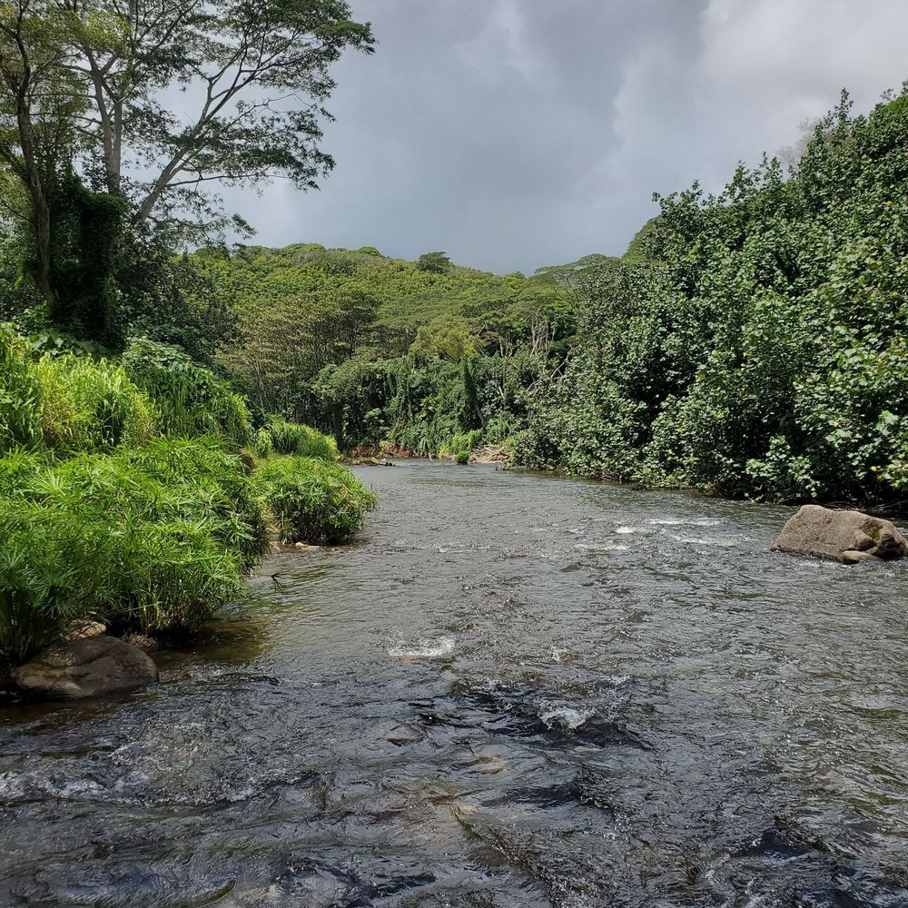 Kayak Wailua Tours - Tours Near Me - Kapaa, Hawaii