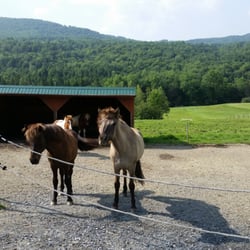 Vermont Icelandic Horse Farm - Beautiful Scenery and a GREAT Ride!