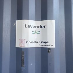 odonata escape - The room name...