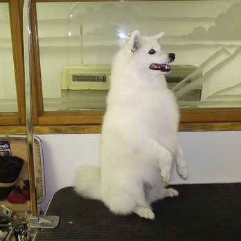 Airdrie Dog & Pony - Pet Stores Near Me - Airdrie, Alberta Airdrie Dog & Pony - Pet Stores Near Me - Airdrie, Alberta