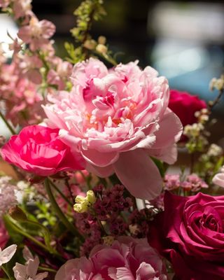 The Flower Ateliers by null