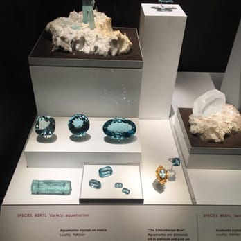 Field Museum - Museums Near Me - Chicago, Illinois Field Museum - Museums Near Me - Chicago, Illinois