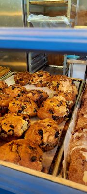 Snapdragon - West Seattle by null