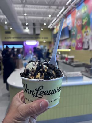 Van Leeuwen Ice Cream by null