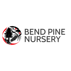 Bend Pine Nursery